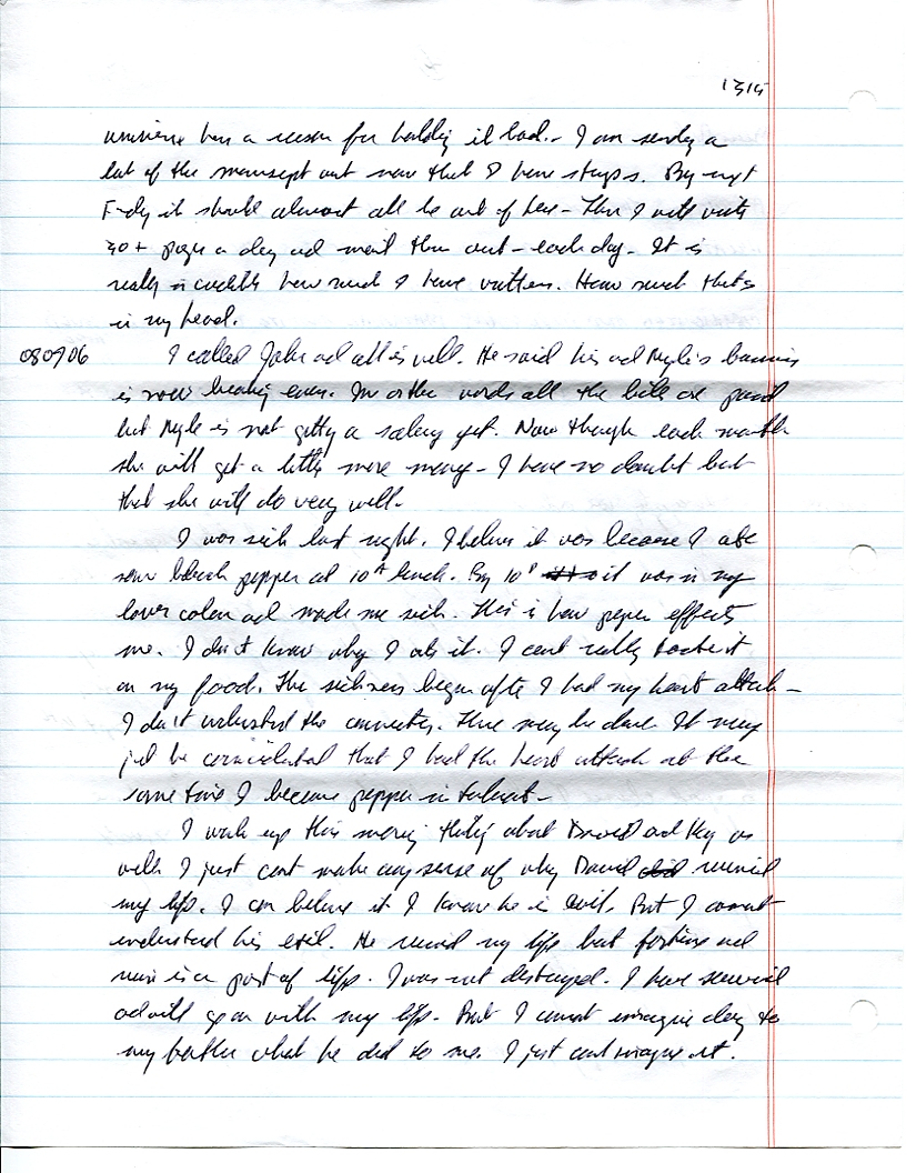 Dr John WorldPeace 2008 Prison Journal